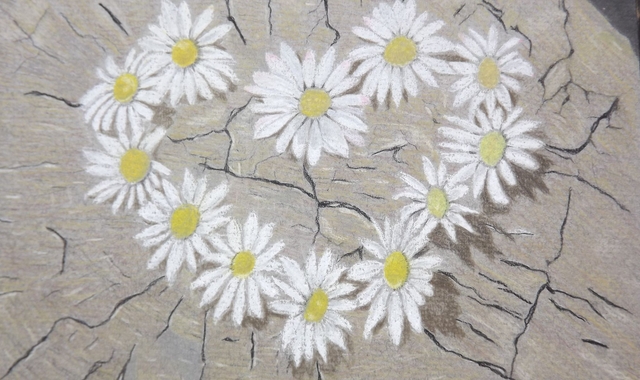 Carte Amour marguerites