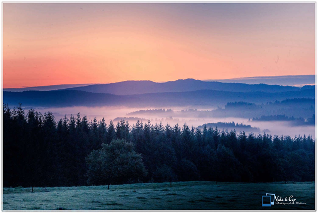 Tirage d'art : Jura au petit Matin