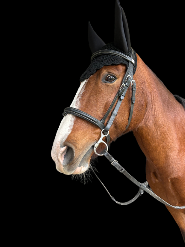 BONNET CHASSE-MOUCHES EQUITHÈME "OREILLES NÉOPRÈNE"