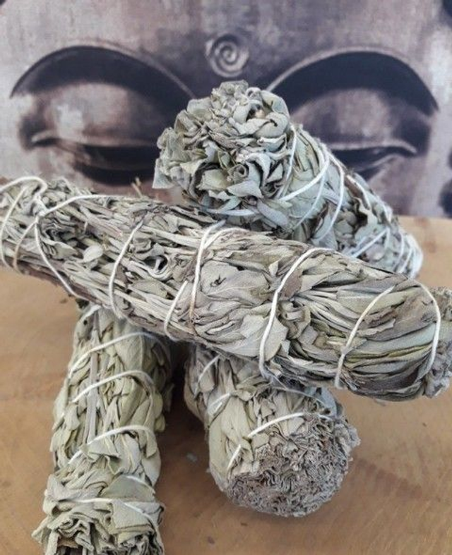 OFFERTA 10 SMUDGE SALVIA BIANCA CM. 10