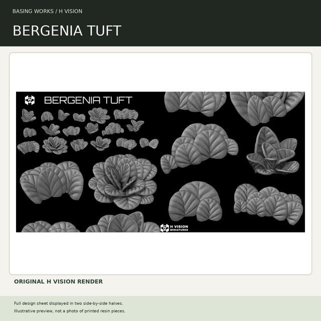 H Vision - Bergenia Tuft