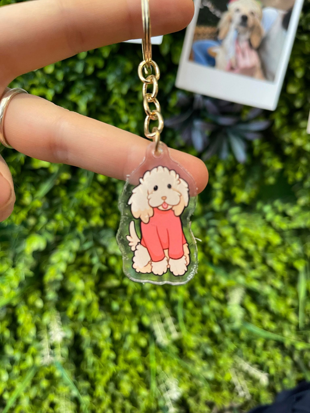 Toy poodle keyring