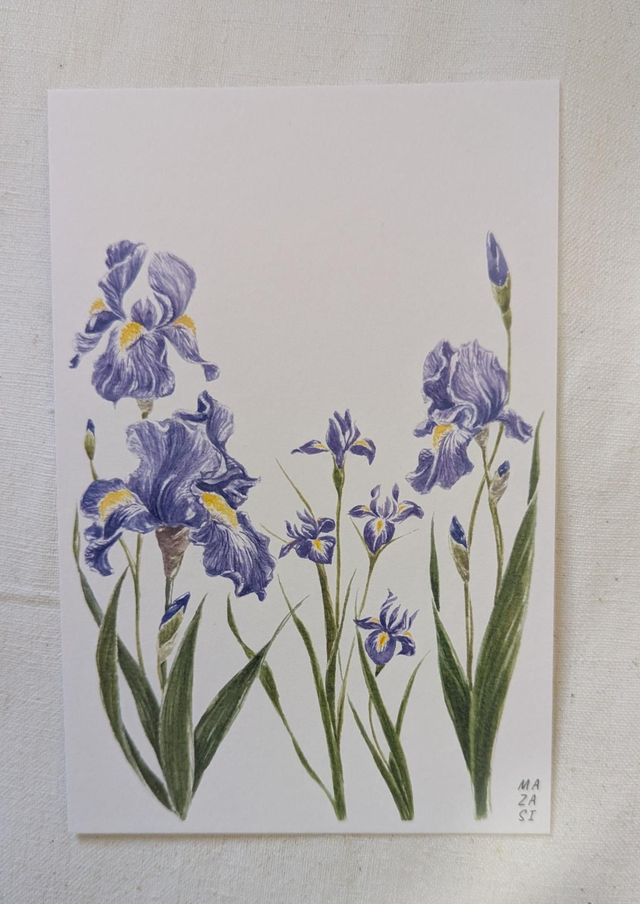 Carte Iris