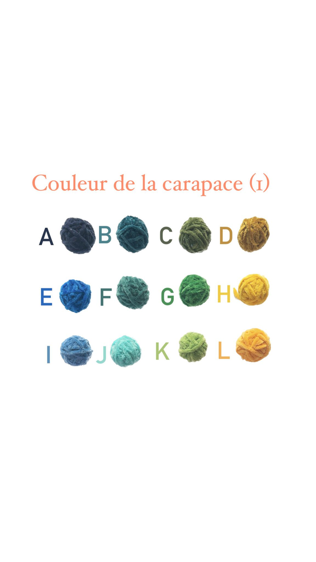 Tortue personnalisable 23cm