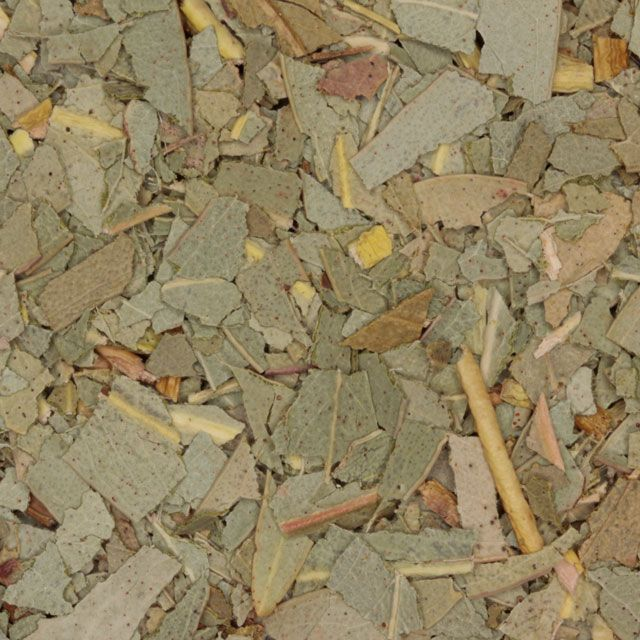 Eucalyptus blad (leaf) - BIO