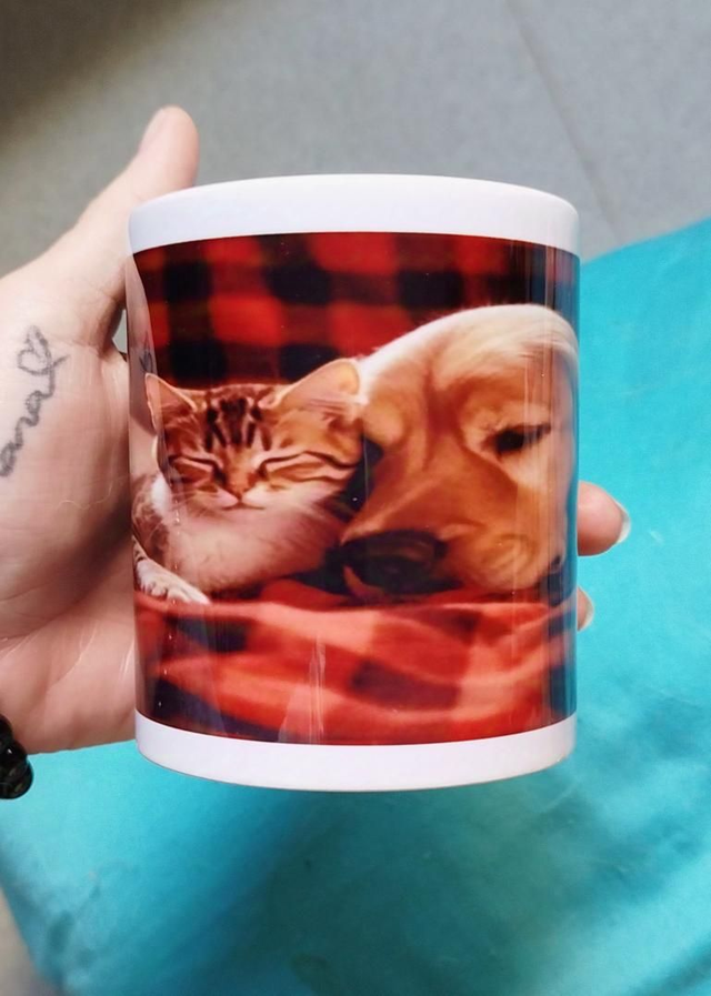 Tasse golden et chat 