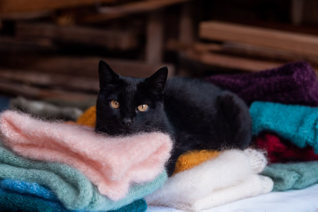 Tour de cou Mohair de chevreau