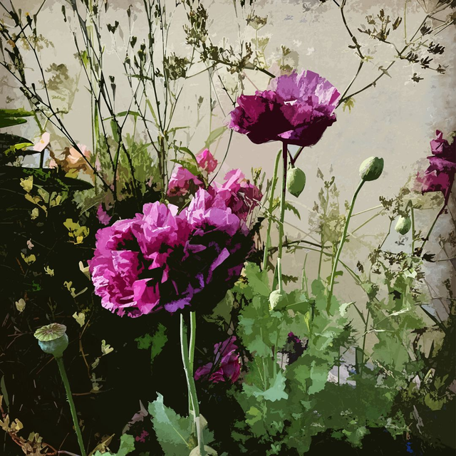  Limited Edition Digital Collage 'Purple Poppies'