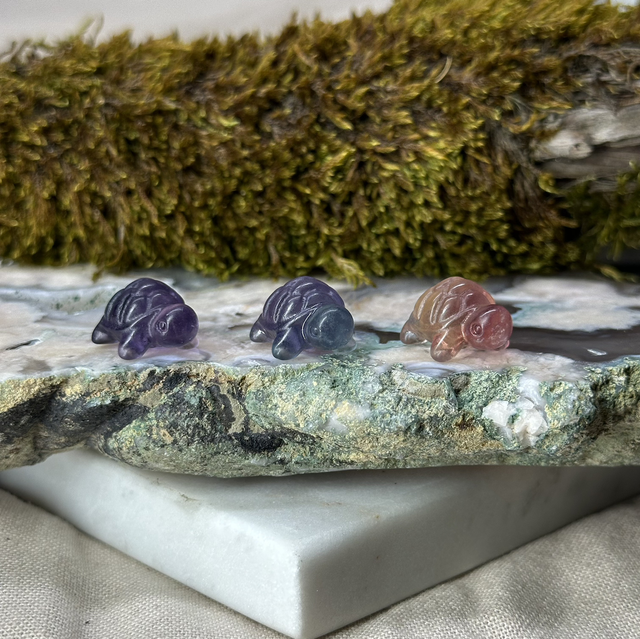 Tortoise Mini Fluorite Carving