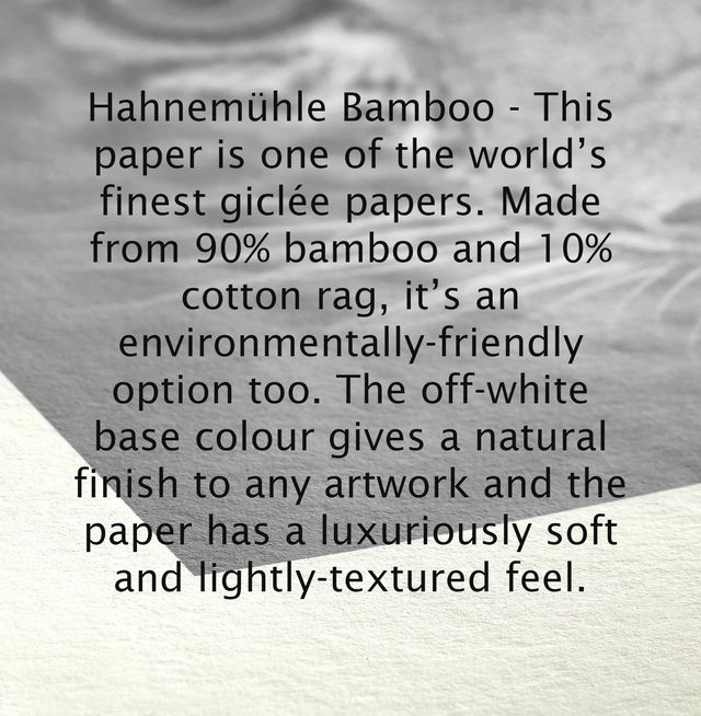 Hare Limited Edition Print