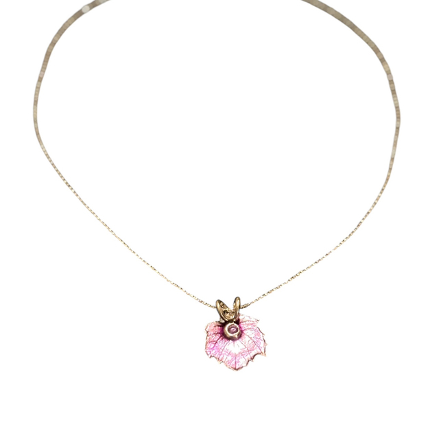 PARME Feuille de vigne en argent écologique