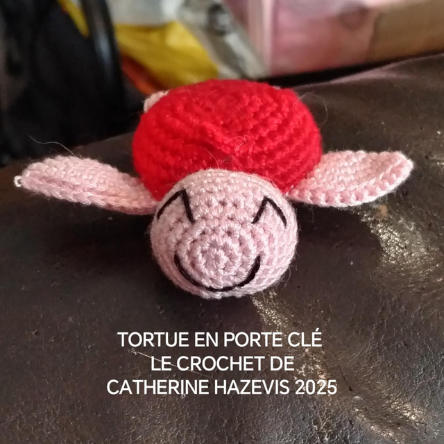 2025 TORTUE EN PORTE CLÉ 
