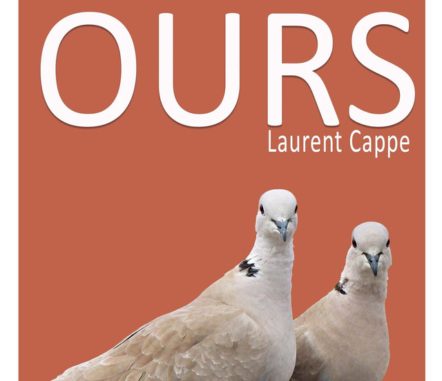 Ours, de Laurent Cappe