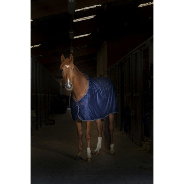 CHEMISE EQUITHÈME "MICROFLEECE" STANDARD