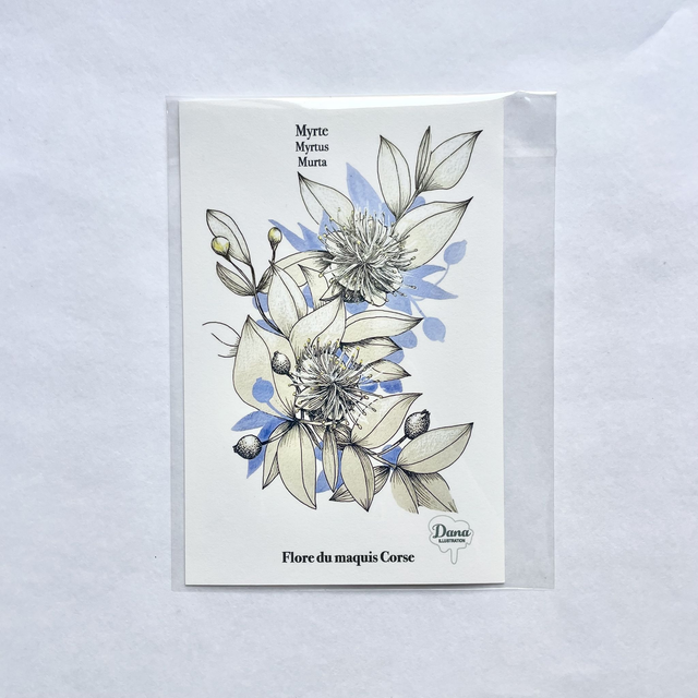 Carte Myrte