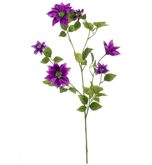 Clematis spray purple 110cm
