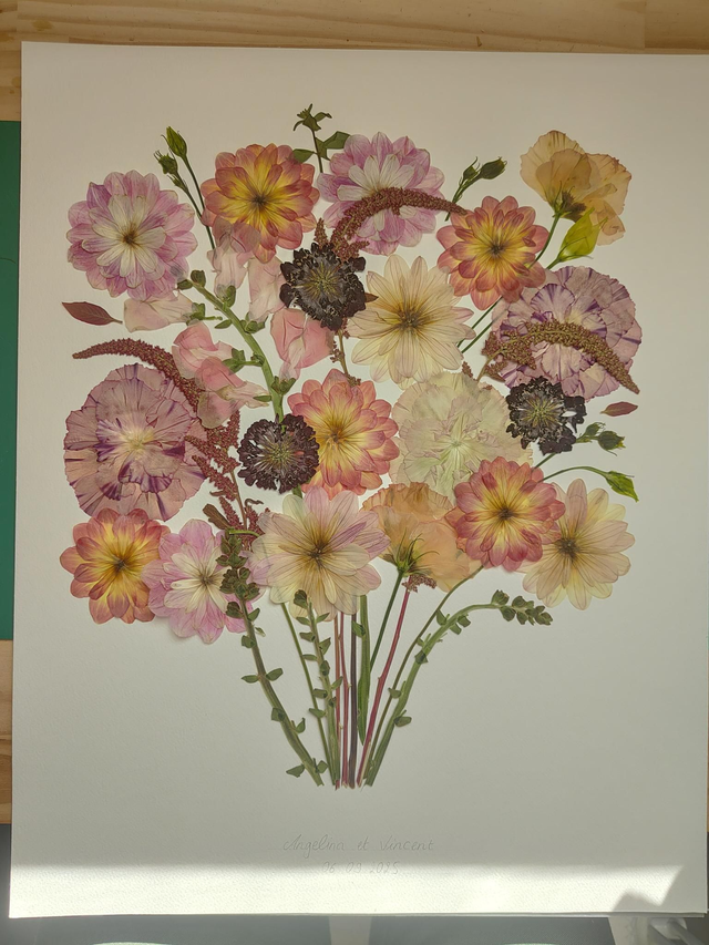 Herbier conservation de bouquet sur papier
