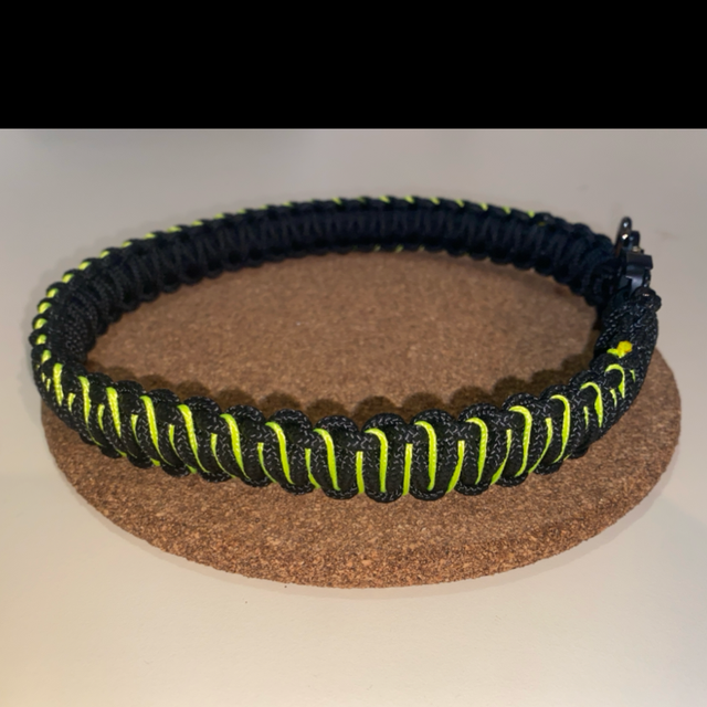 Collier chien salamandre jaune 