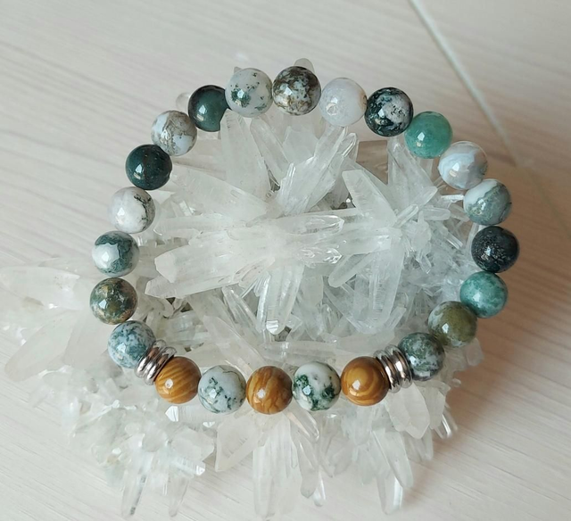 Jaspe Bois et Agate Arbre