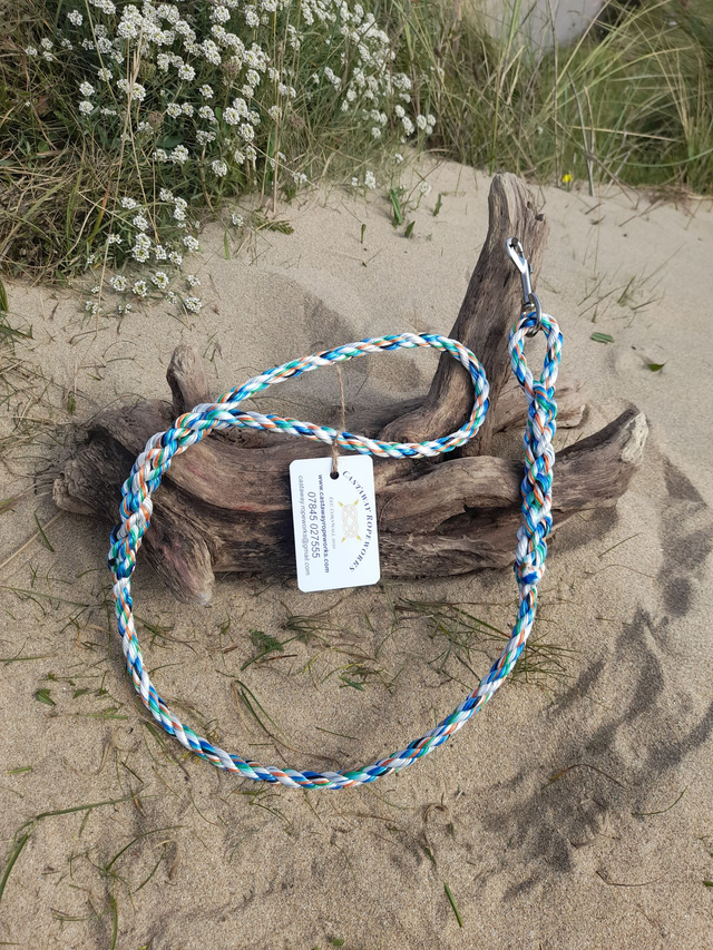 Dog Lead - Porthallow