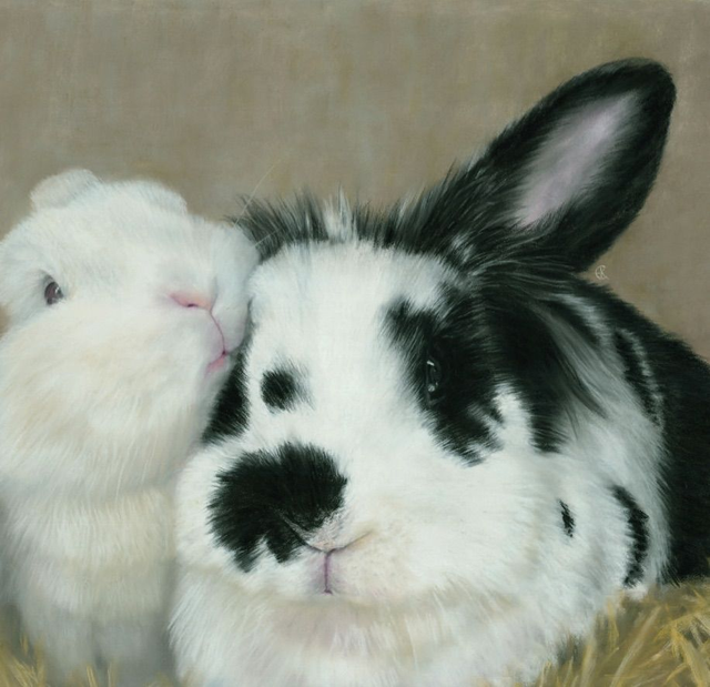 Greeting Card 'SAMMY &amp; BRANCA'  (Konijnenparadijs) 