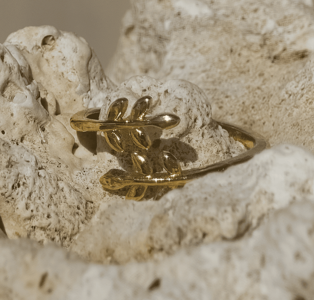 Bague d&#039;orteil &quot;Laurier&quot;