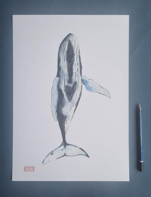 baleine coeur à partir de 4€ 