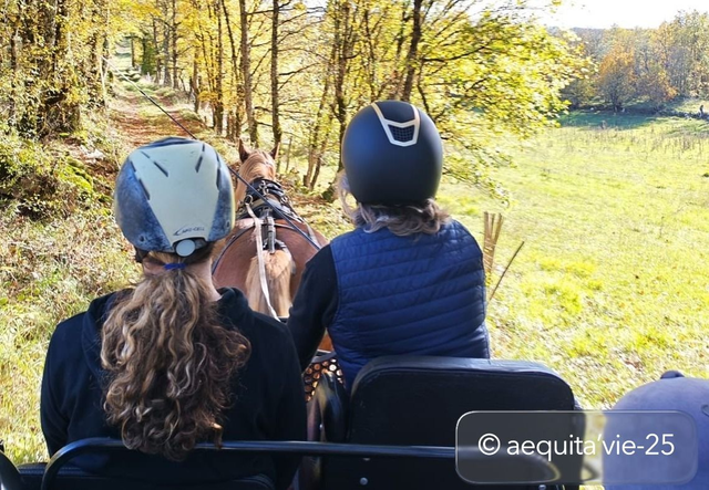 Balade en Calèche - Evasion