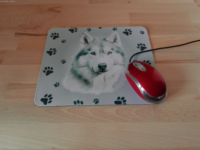 Tapis de souris Alaskan Malamute