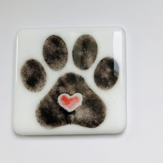 Paw coasters