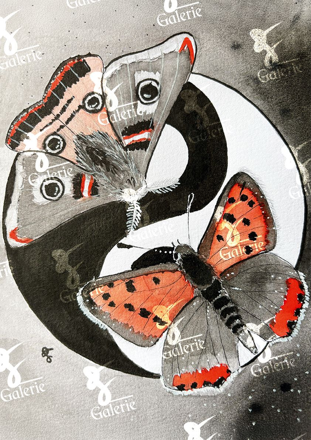 Papillons Yin &amp; Yang