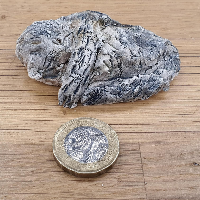 Sleeping cat grey/brown tabby