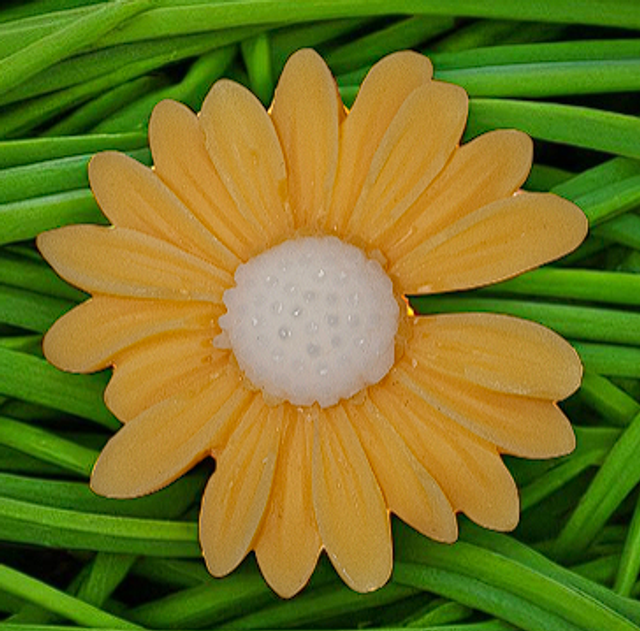Fondant parfumé "Vanille épicée"