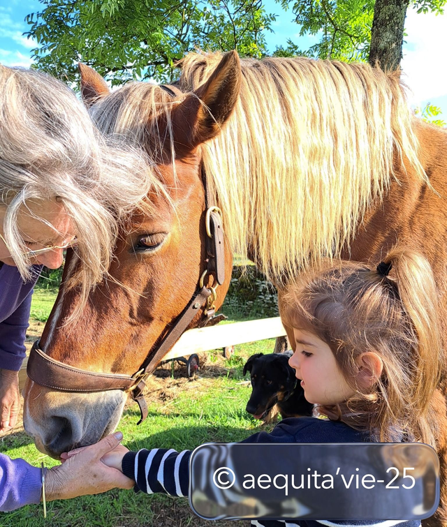 La brosse magique /+Per sup