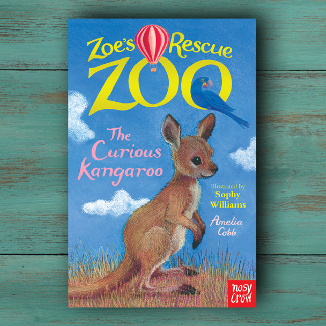 The curious kangaroo