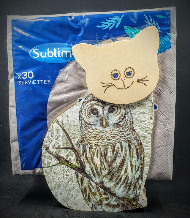 distributeur de serviettes