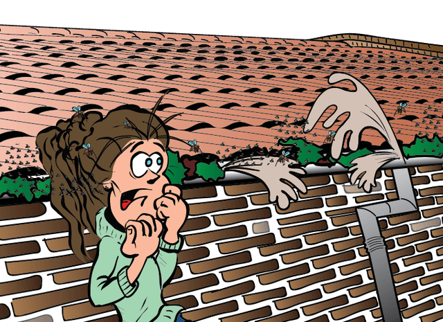 Verstopping HWA regenpijp (Vast tarief)