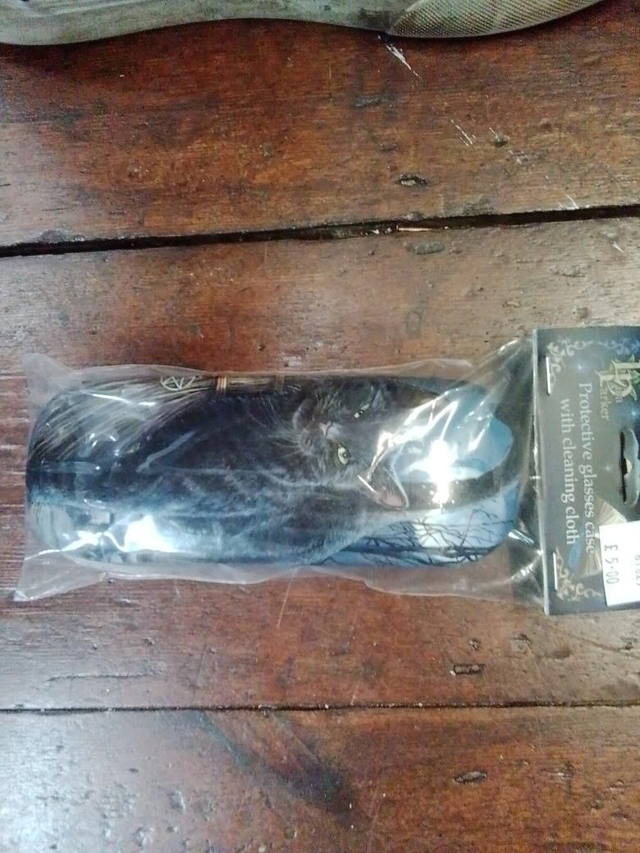 Lisa Parker glasses case