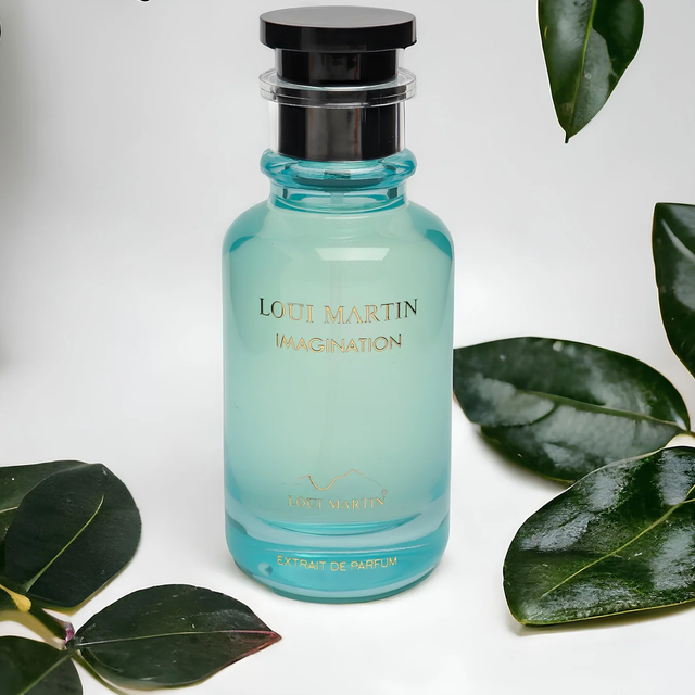 Imagination - Loui Martin