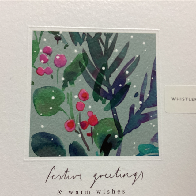 Christmas Open Whistlefish- Festive Greetings WC pink berries
