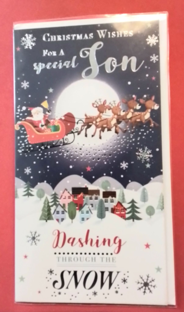 Son Christmas Card Dashing Throgh the snow.
