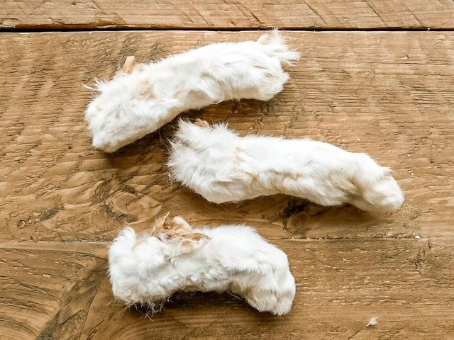 Hairy Rabbit Feet