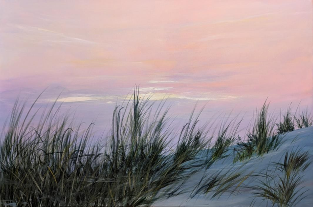 Night fall on the dunes
