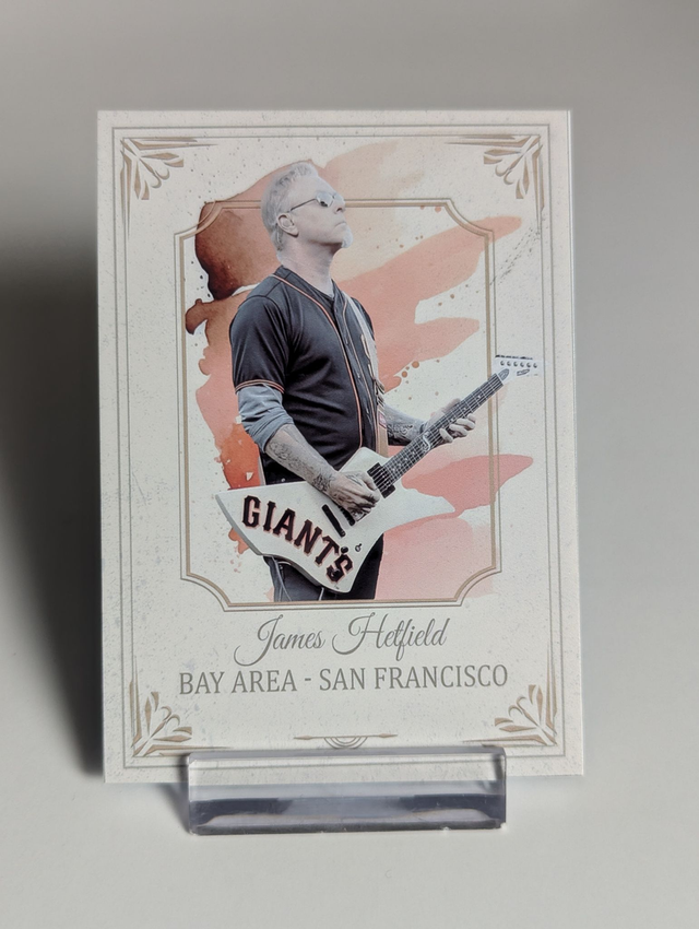 MSC - James Hetfield 100pt