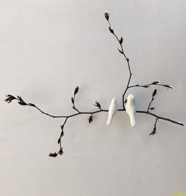 Nature "Simplicité"