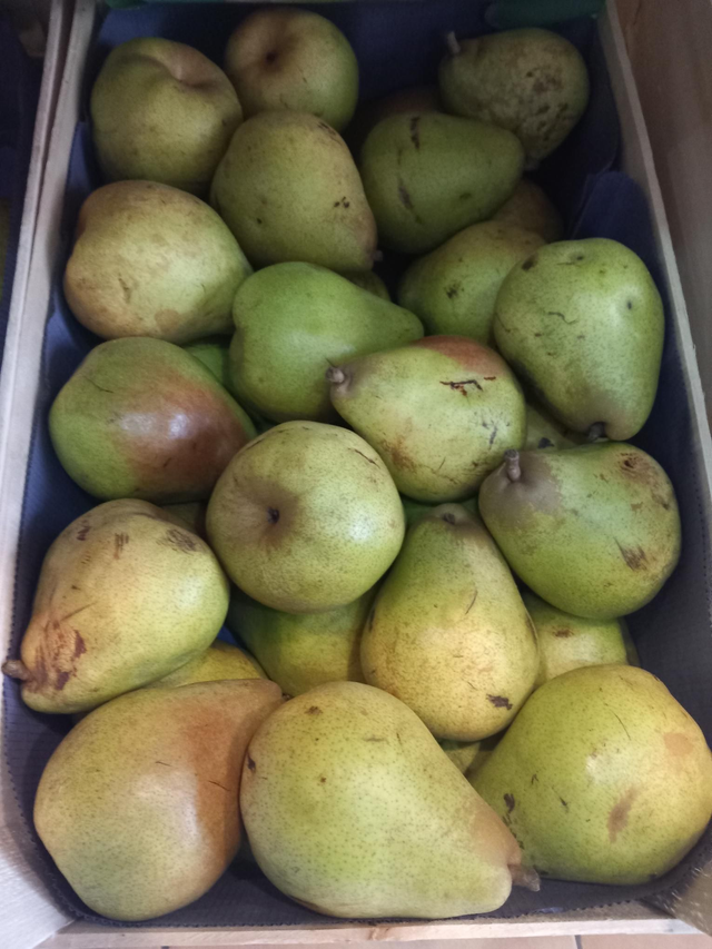 Pere Paradiso Piemonte 