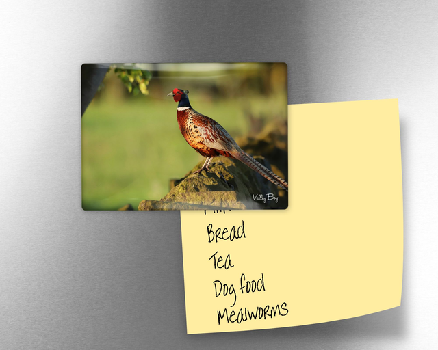 "Rufus" Fridge Magnet  