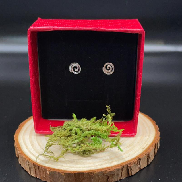 Swirl silver earings