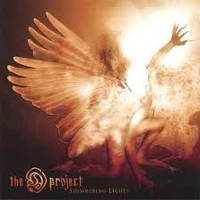 D Project - Shimmering Lights [CD]/OKR