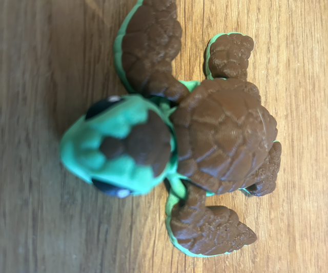 Turtle - Articulated.